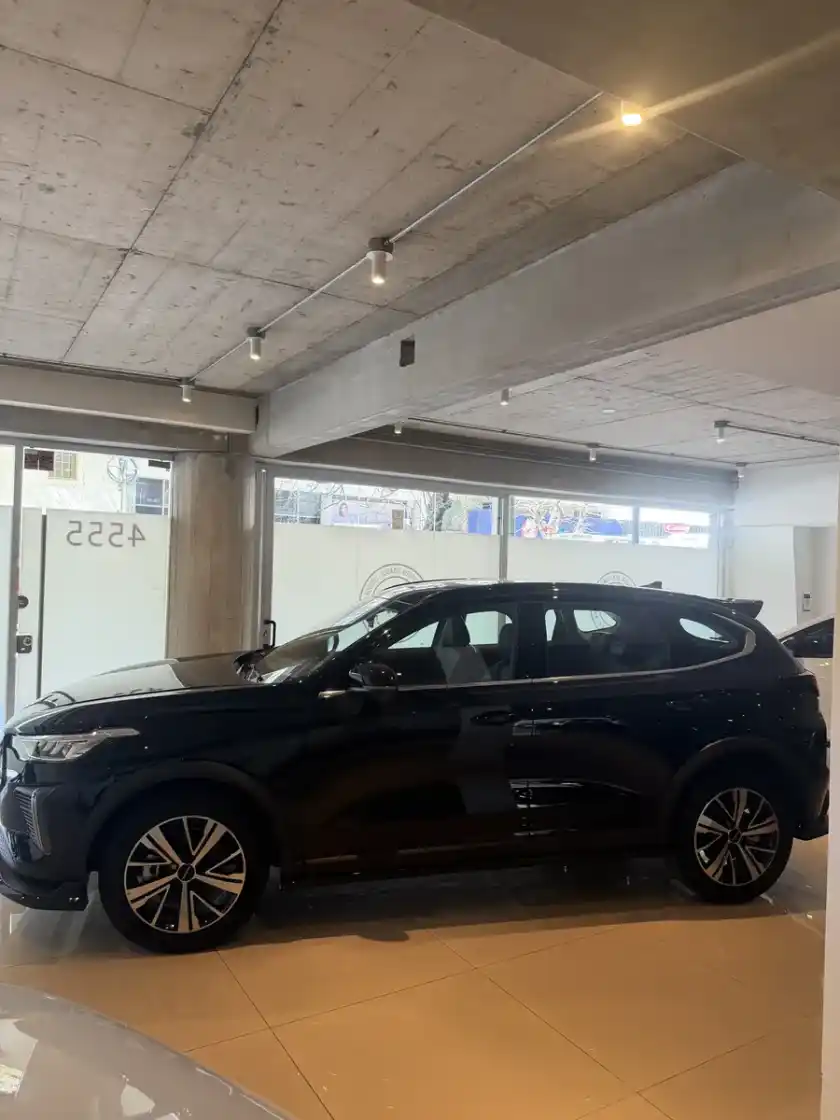Gwm Haval Jolion Pro Hev 2026 - foto 2