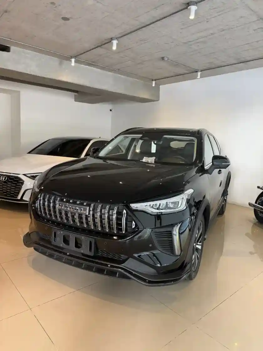 Gwm Haval Jolion Pro Hev 2026 - foto 3