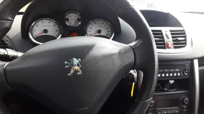 Peugeot 207 1.6 Gti 156Cv 2013 - foto 5