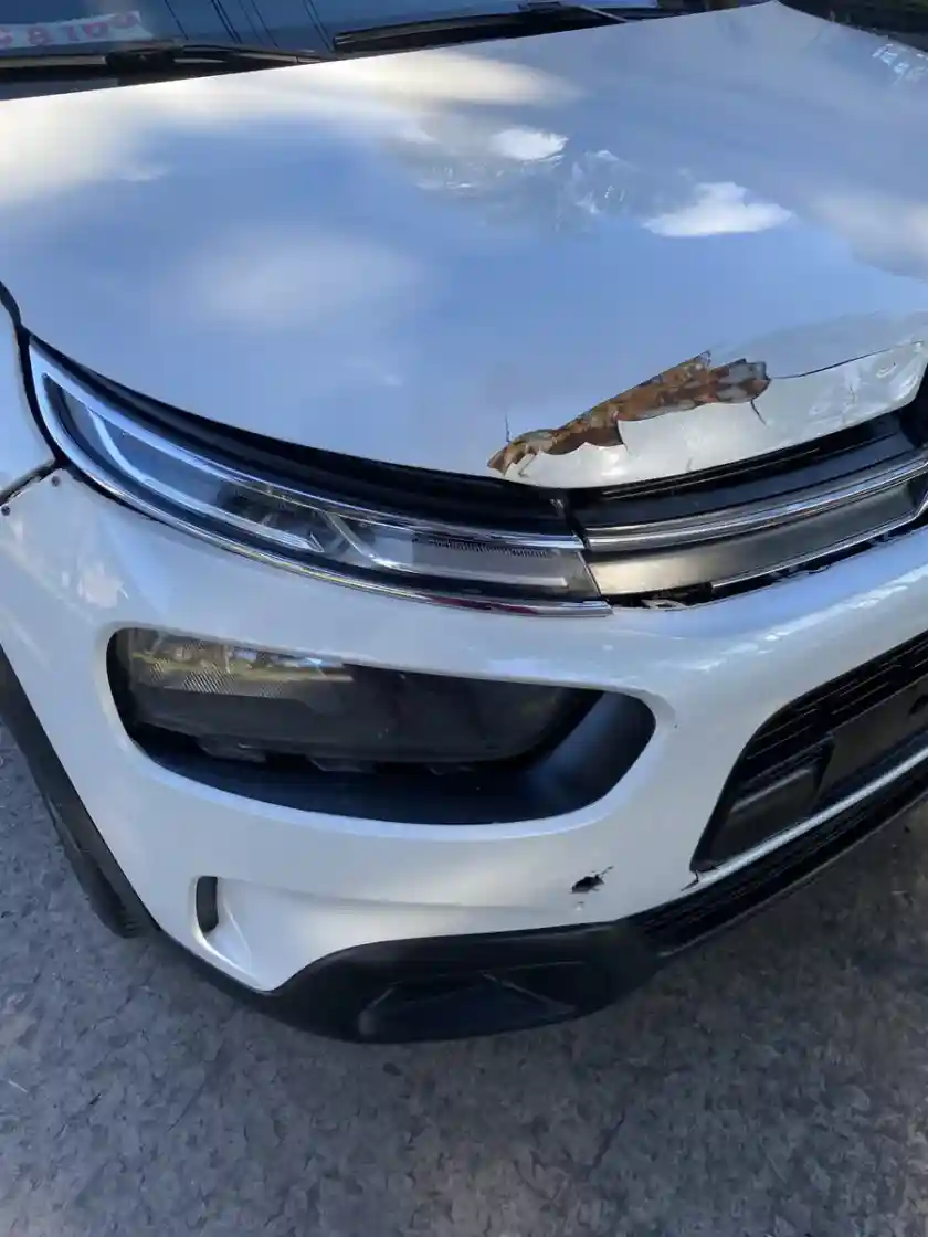 Citroën C4 Cactus 1.6 Vti 115 Feel 2019 - foto 4