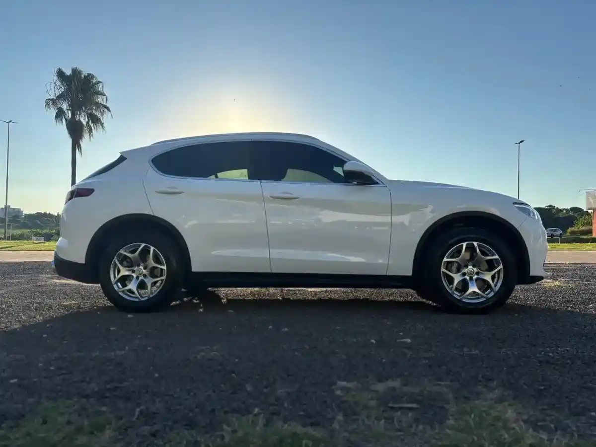 Alfa Romeo Stelvio 2.0 280Cv At Q4 Veloce 2019 - foto 3