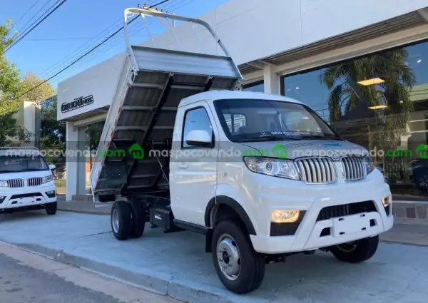 Shineray T30 Chasis Con Duales Con Caja Volcadora Trasera 0Km My2025. Orio Hnos  0 - foto 1