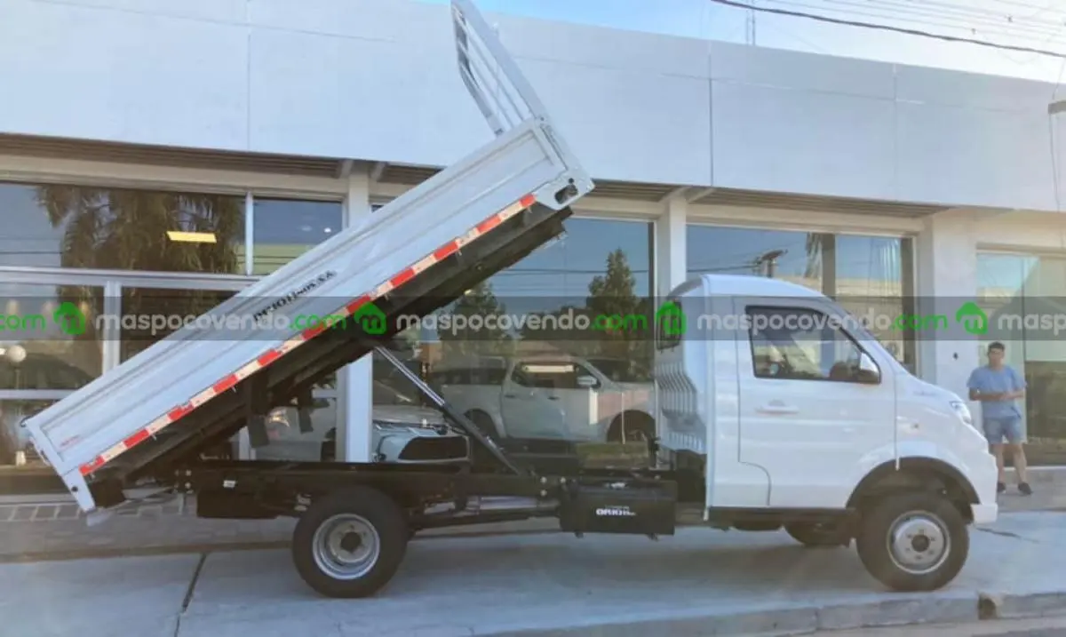 Shineray T30 Chasis Con Duales Con Caja Volcadora Trasera 0Km My2025. Orio Hnos  0 - foto 4