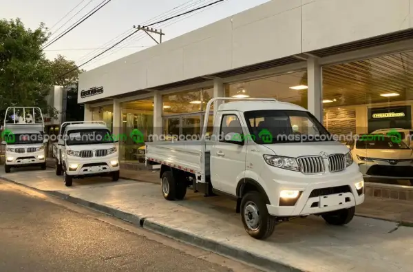 Shineray T 30 C/Simple Chasis Con Duales P/2Ton. 0Km My2025 Orio Hnos  0 - foto 1