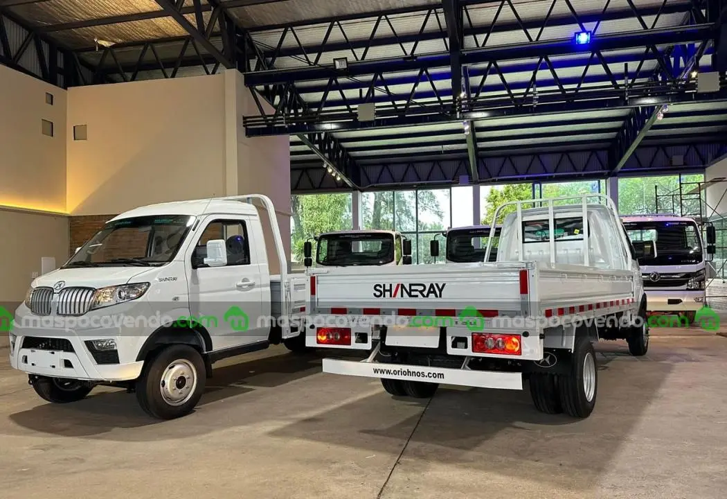 Shineray T30 C/Simple Chasis Con Duales Para 2 Toneladas 0Km My2026 Orio Hnos  0 - foto 3