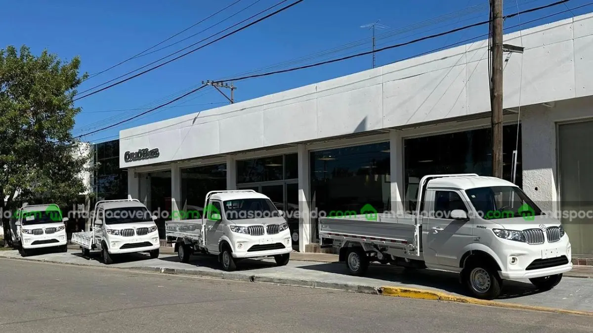 Shineray , Domy Utilitarios  0 - foto 3