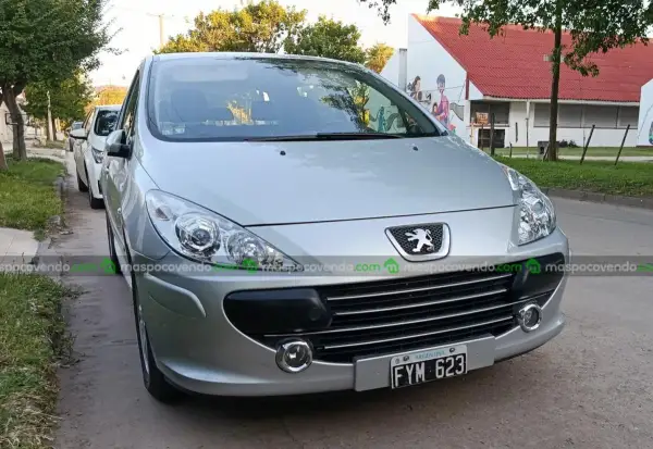 Peugeot 307 XS Premium 0 - foto 1