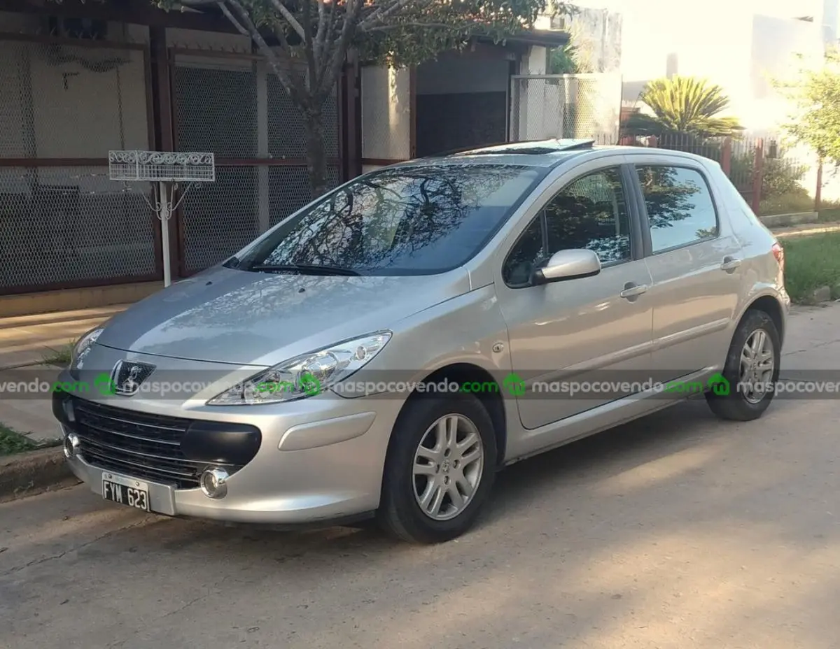 Peugeot 307 Xs Premium  0 - foto 2