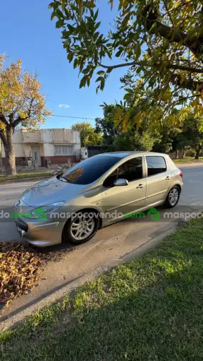 Peugeot 307 XS - foto 1