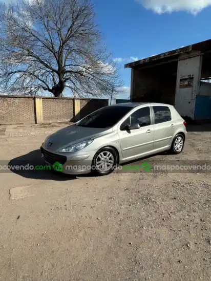Peugeot 307 Xs - foto 5