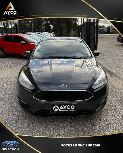 Ford Focus L/16 1.6 5 P S  2016 - foto 3