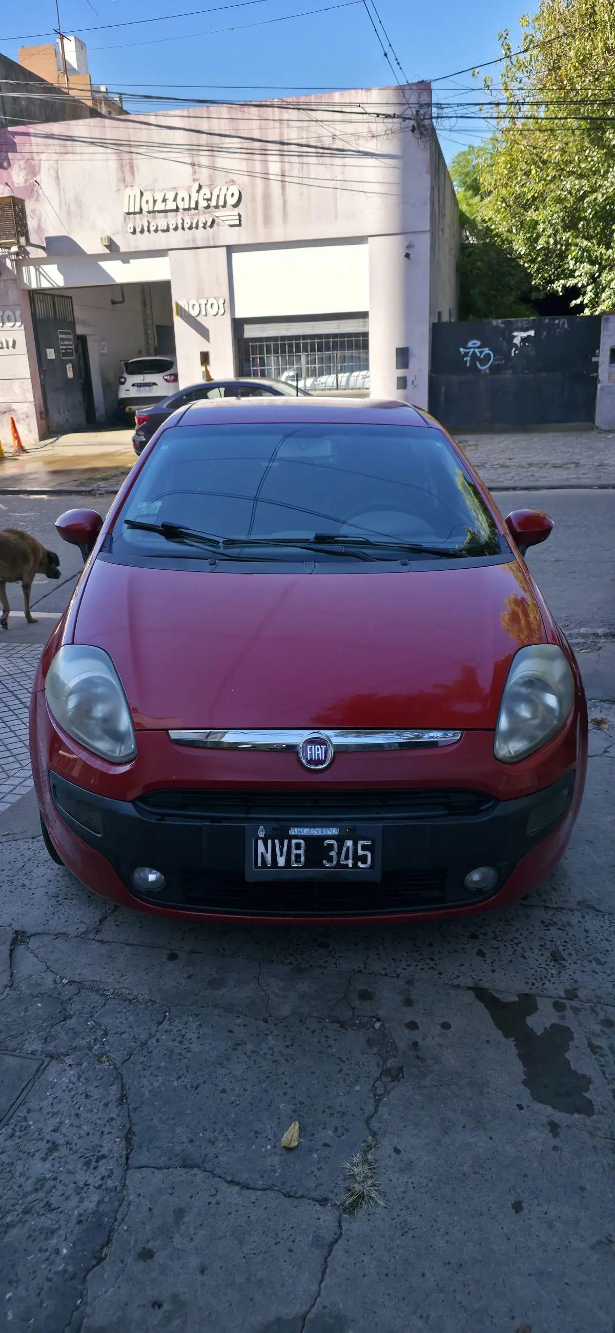 Fiat Punto 1.4 Attractive L/13  2014 - foto 2