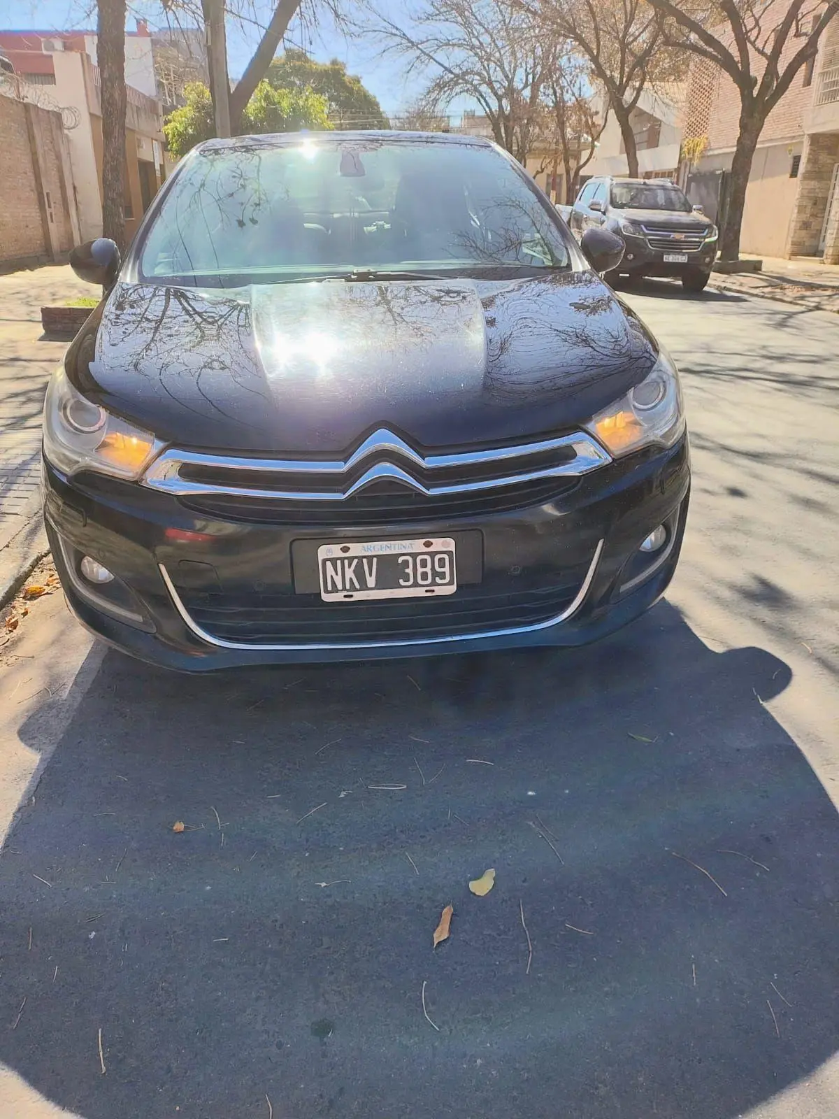 Citroen C 4 Lounge 1.6 Hdi Exclusive  2014 - foto 3