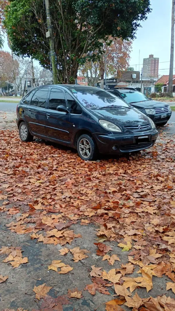 Citroen Picasso 2.0  2005 - foto 1