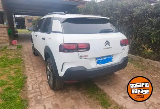 Citroën C4 Cactus Live  2020 - foto 1